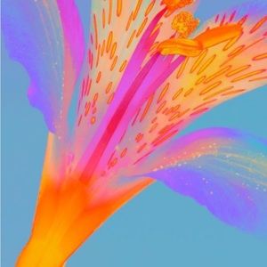 Meet your Posher, Kylie